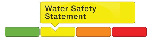 Water Safety Statement Icon