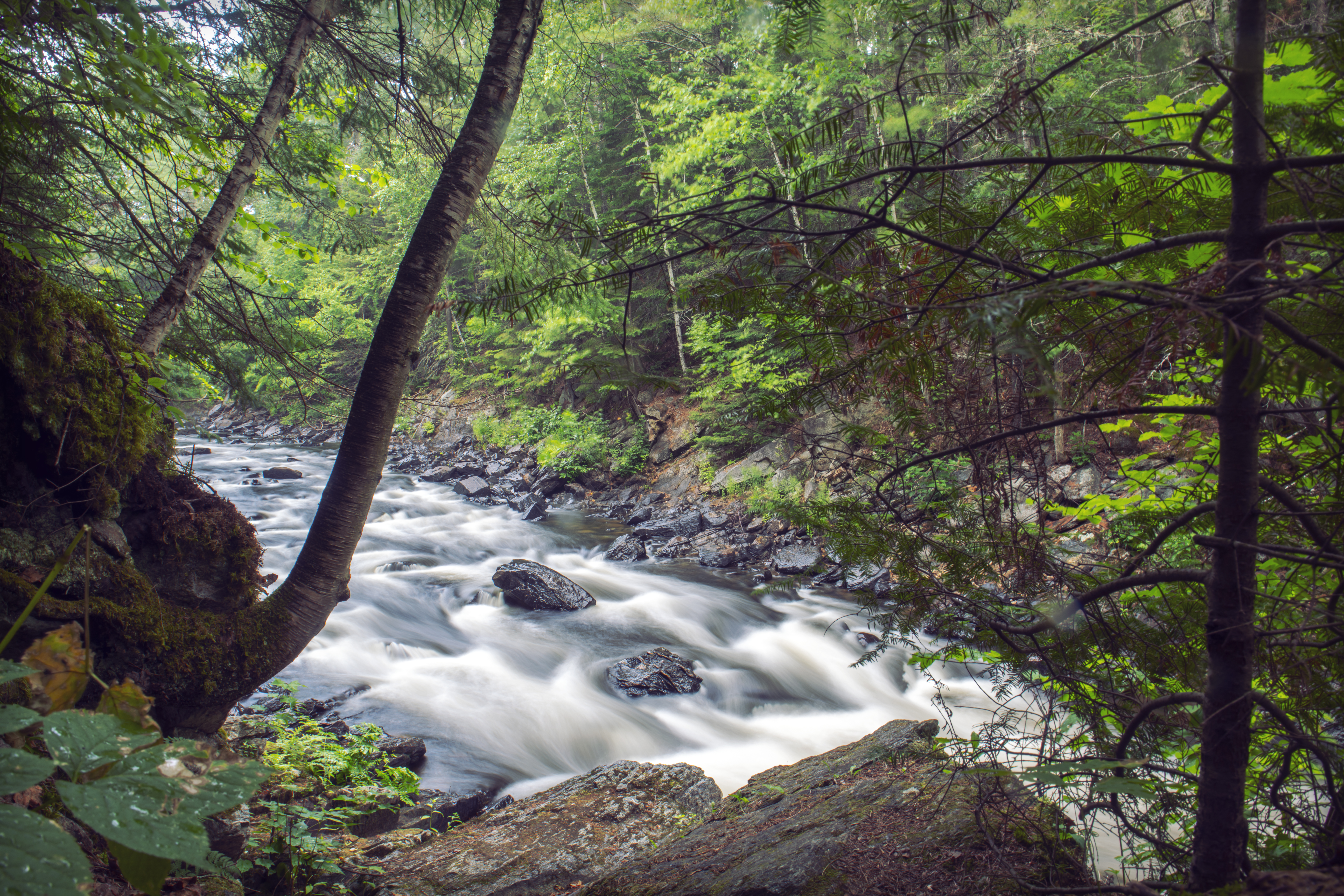Eau Claire Gorge Conservation Area, water flowing over the gorge
