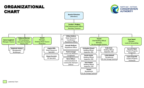 organizational chart listing all staff and their titles