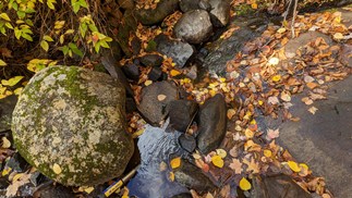 Creek with low flow